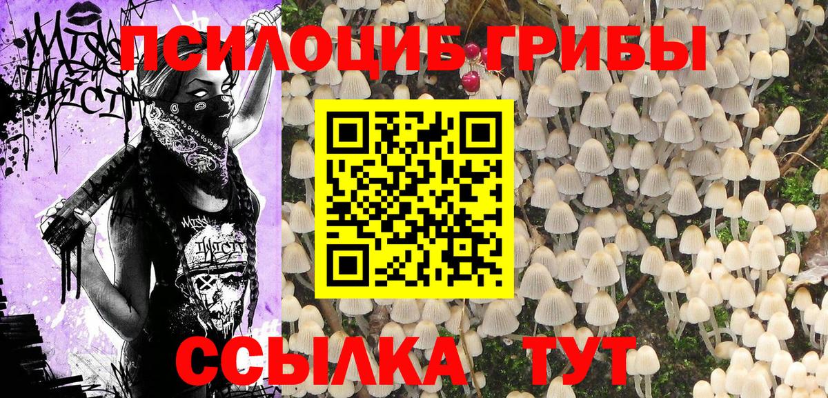 Галлюциногенные грибы прущие грибы Камень-на-Оби