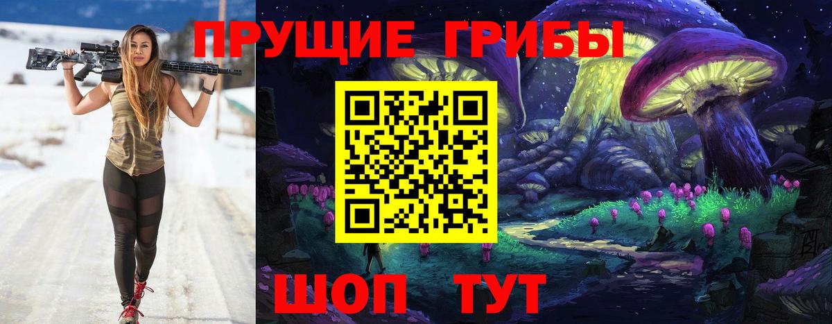 Псилоцибиновые грибы MAGIC MUSHROOMS  Галлюциногенные грибы Psilocybe  Вход с VPN  Камень-на-Оби 
